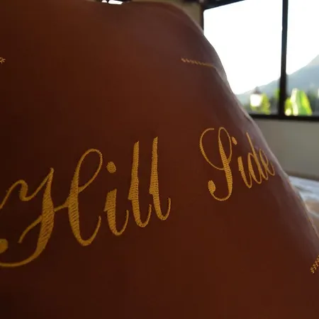 Hill Side فندق دراس