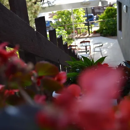 Hill Side Hotel 3*
